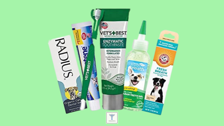 Best Dog Toothpastes in Amazon: Full Health Guide .. 2023
