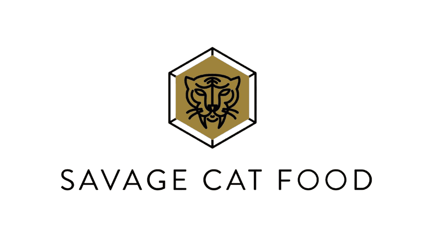 Entrega de comida para gatos