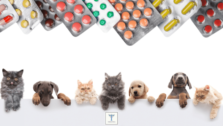 Medicamentos baratos para mascotas en línea en EE.UU.: Una guía completa … 2023