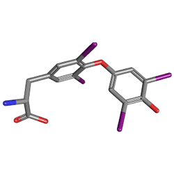 Euthyrox 50 mcg 50 Tablets (Levothyroxine) Chemical Structure (3 D)