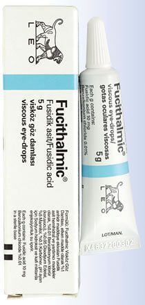 Fucithalmic Eye Cream (Drops)
 Price in Turkey