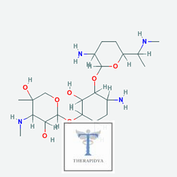 Genta 160 mg 1 Ampoule (Gentamycin) Chemical Structure (2 D)